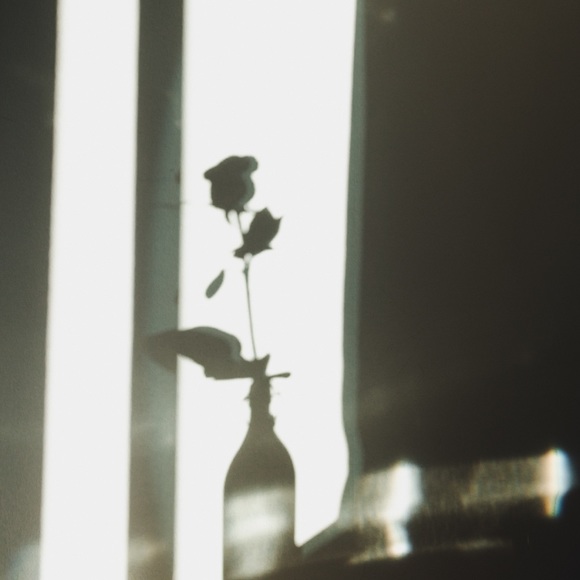 Meet your Posher, Krysten ๐ - Picture 2 of 2